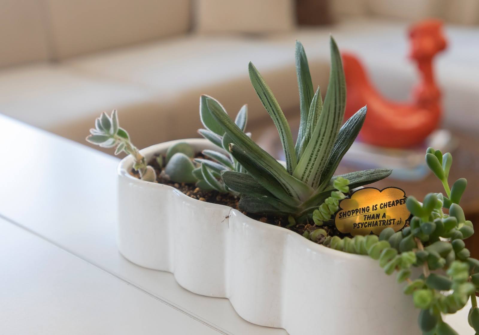 Prof. Dr.  M. Ayşin Noyan